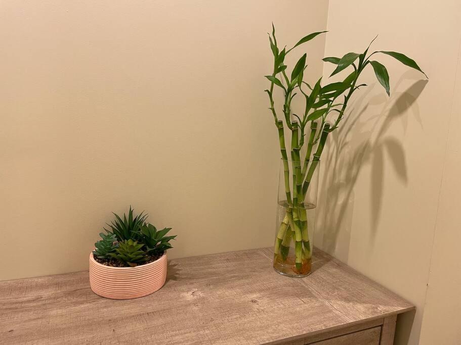 Lovely Downtown 2 Bedroom Condo With Free Parking Victoria Ngoại thất bức ảnh